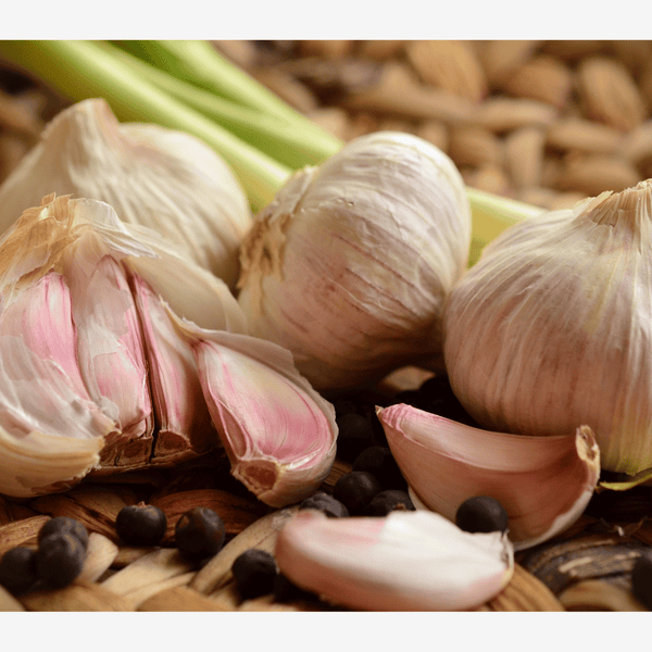 Garlic bulbs and cloves on a wooden surface. A helpful herb for wellness