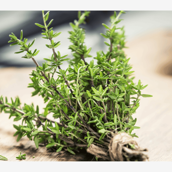 Bunch of fresh thyme on a wooden surface. A helpful herb for wellness
