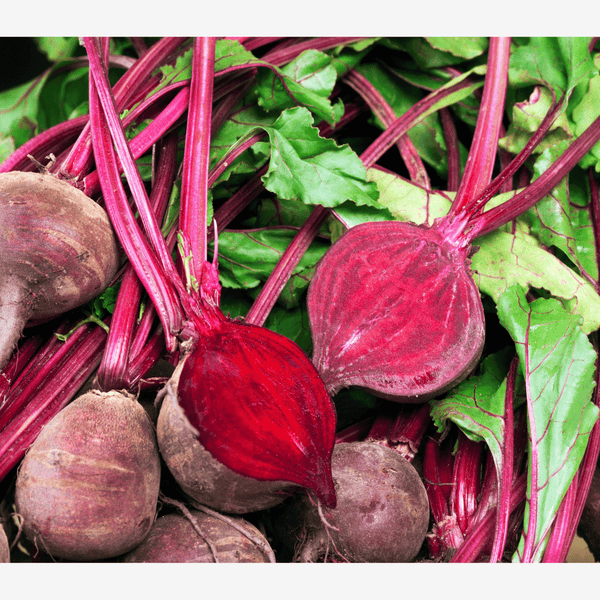 Close-up of fresh beets with green leaves. A helpful herb for wellness
